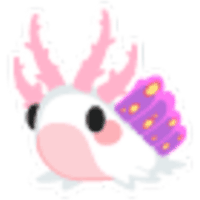 Seaslug Sticker