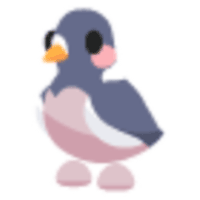 Wood Pigeon Sticker