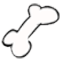 2D Bone Chew Toy