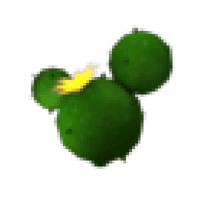 Cactus Balloon