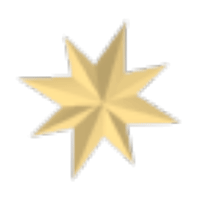 Christmas Star Flying Disc