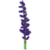 Lavender Bundle