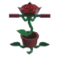 Rose Pogo