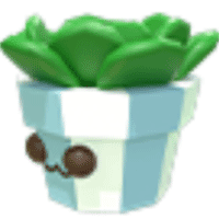 Succulent Plush