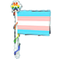 Transgender Flag 2023