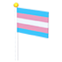 Transgender Flag