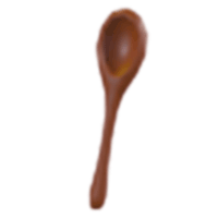 Wooden Spoon Toy